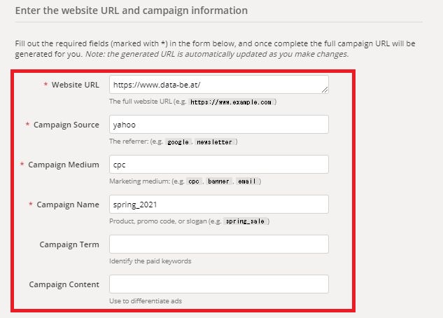 Campaign URL Builder入力