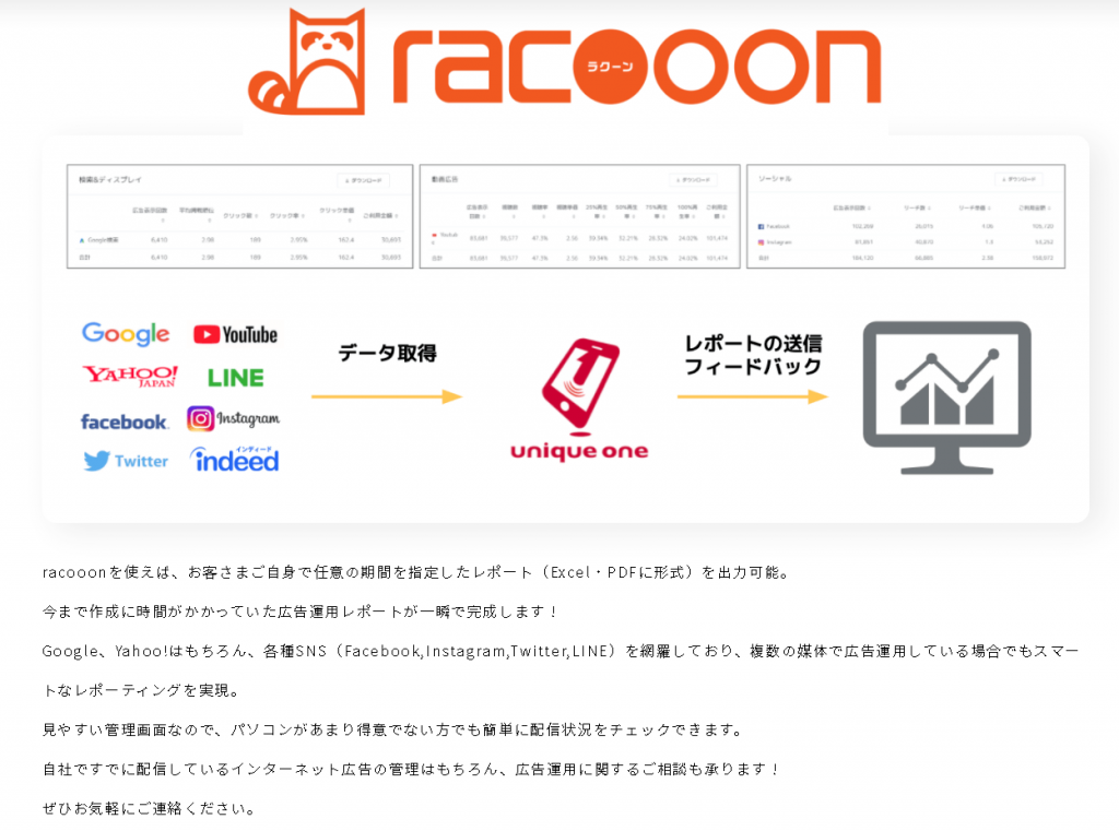 racooon